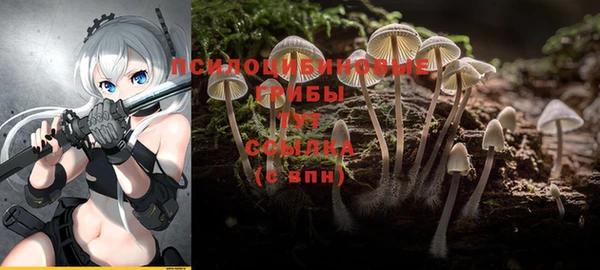 мескалин Медвежьегорск