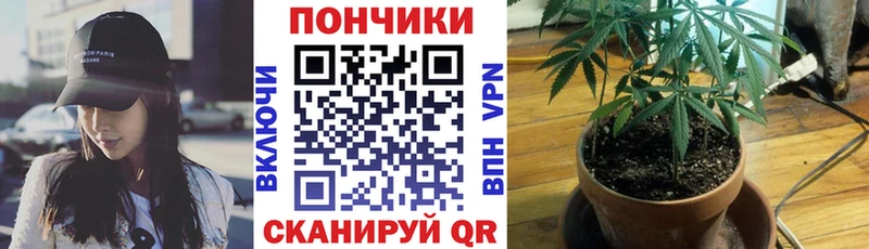 Конопля Amnesia  гидра как зайти  Новокубанск 